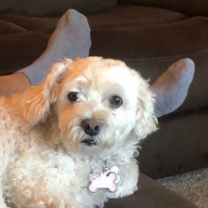 Meet your Posher, Donna